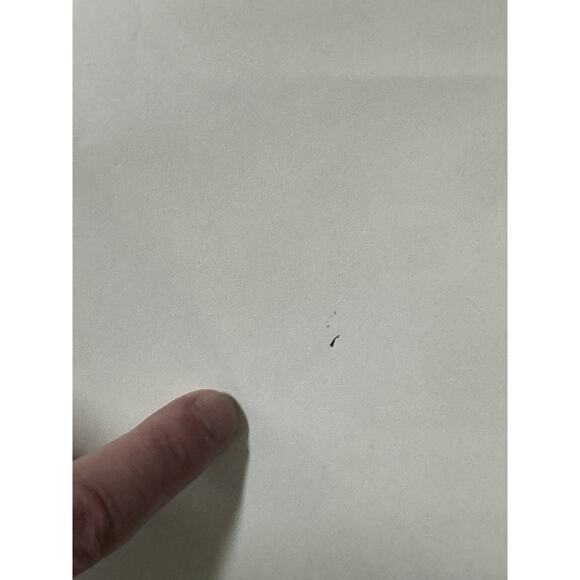 VTG Falstaff Beer Welcome Race Fans Poster St Louis Antique Auto Car READ - Picture 16 of 16